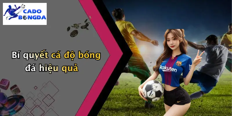 Bí quyết cá độ bóng đá hiệu quả