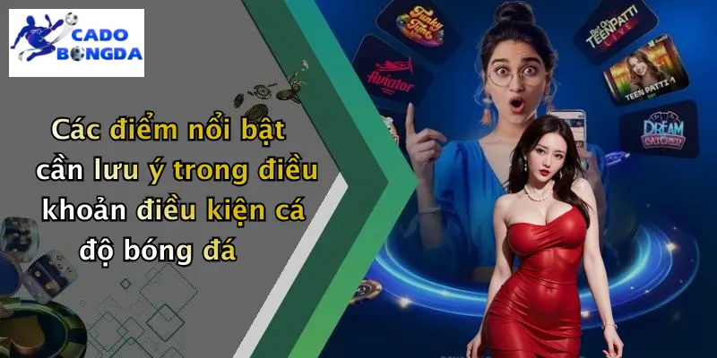 Các điểm nổi bật cần lưu ý trong điều khoản điều kiện cá độ bóng đá
