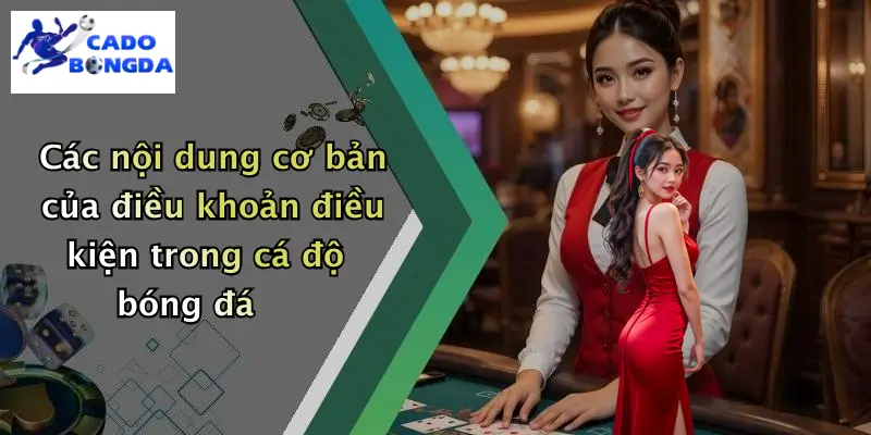 Các nội dung cơ bản của điều khoản điều kiện trong cá độ bóng đá