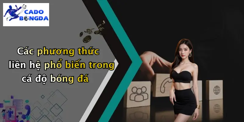 Các phương thức liên hệ phổ biến trong cá độ bóng đá