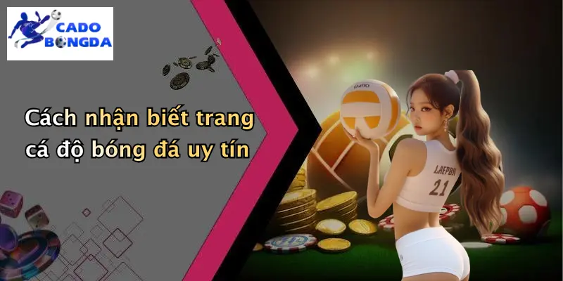 Cá Độ Bóng Đá