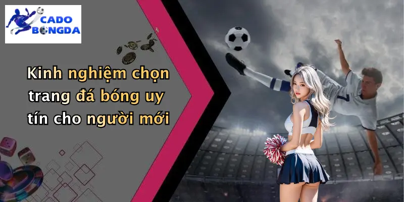 Cá Độ Bóng Đá