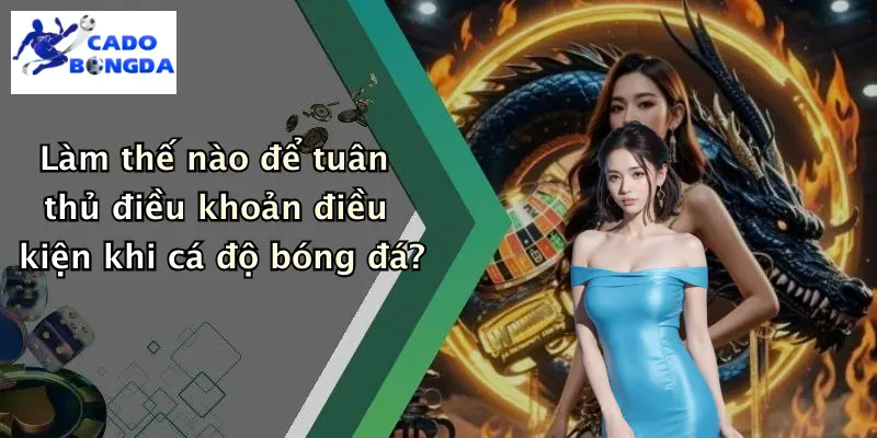 Làm thế nào để tuân thủ điều khoản điều kiện khi cá độ bóng đá?