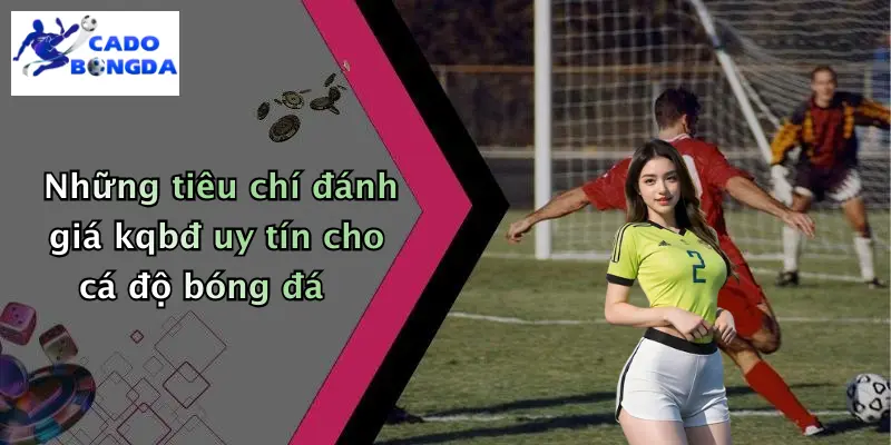 KQBĐ 30 Những tiêu chí đánh giá kqbđ uy tín cho cá độ bóng đá