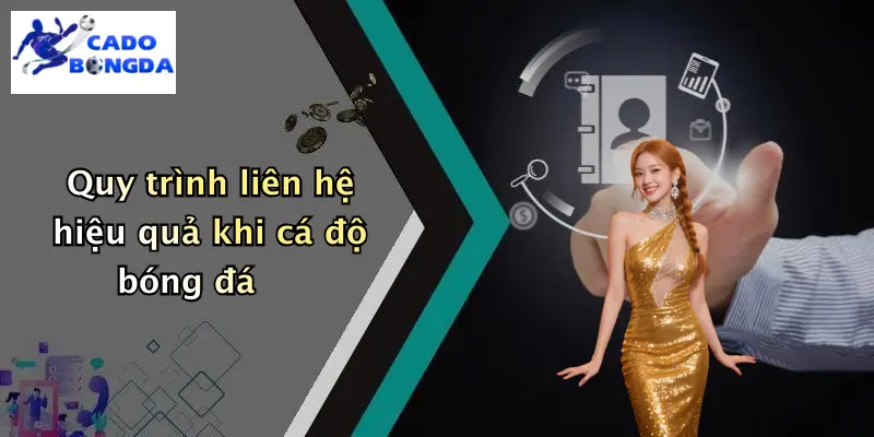 Quy trình liên hệ hiệu quả khi cá độ bóng đá