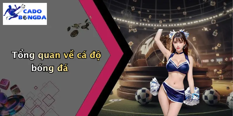 Cá Độ Bóng Đá