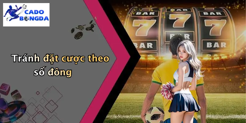 Tránh đặt cược theo số đông