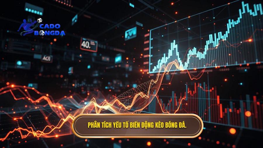 Phân tích đa chiều: Yếu tố tác động đến biến động kèo thực tế