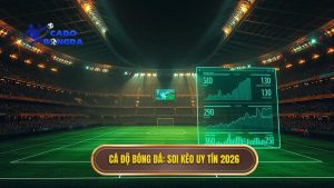 Top website soi kèo bóng đá uy tín nhất 2026 - Kèo Chuẩn 100%